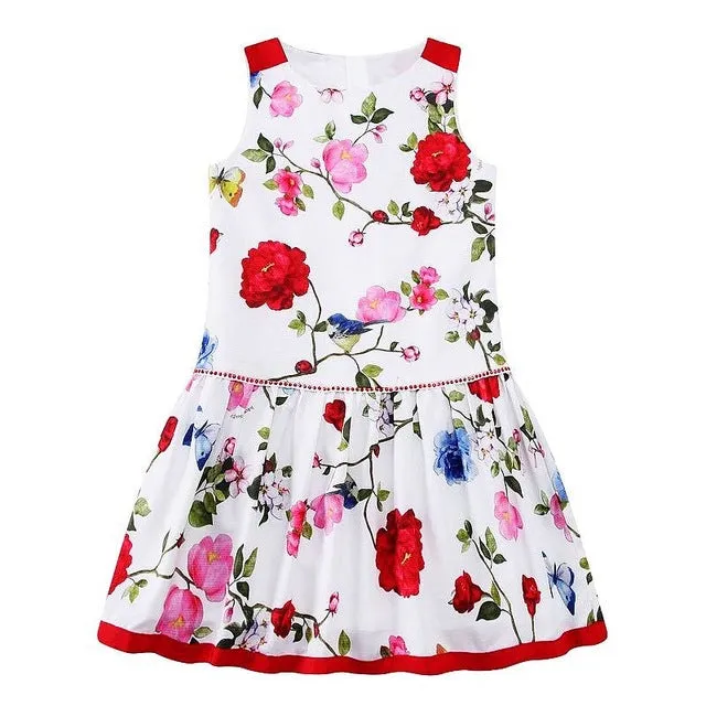 Girls Floral Summer Dress, Size 2-6 Yrs