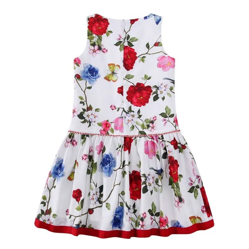 Girls Floral Summer Dress, Size 2-6 Yrs