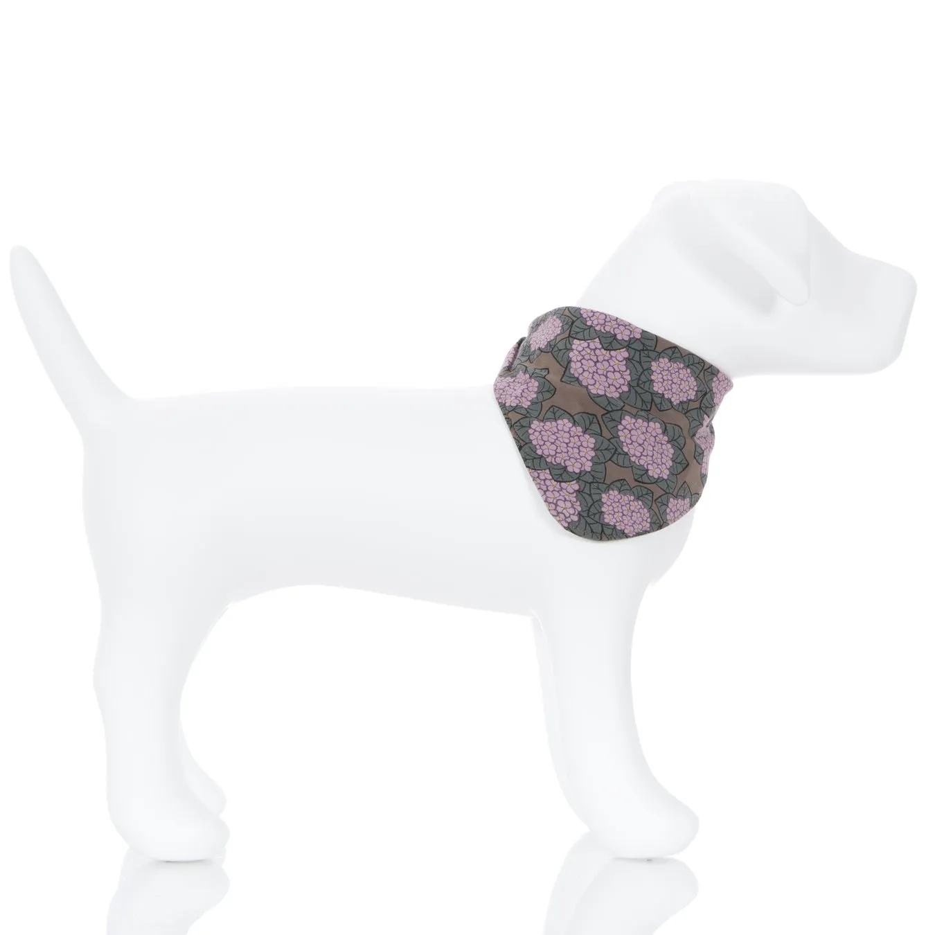 Kickee Pants Print Dog Bandana - African Violets 1st Delivery
