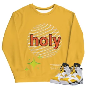 Retro 6 Holy Sweatshirt