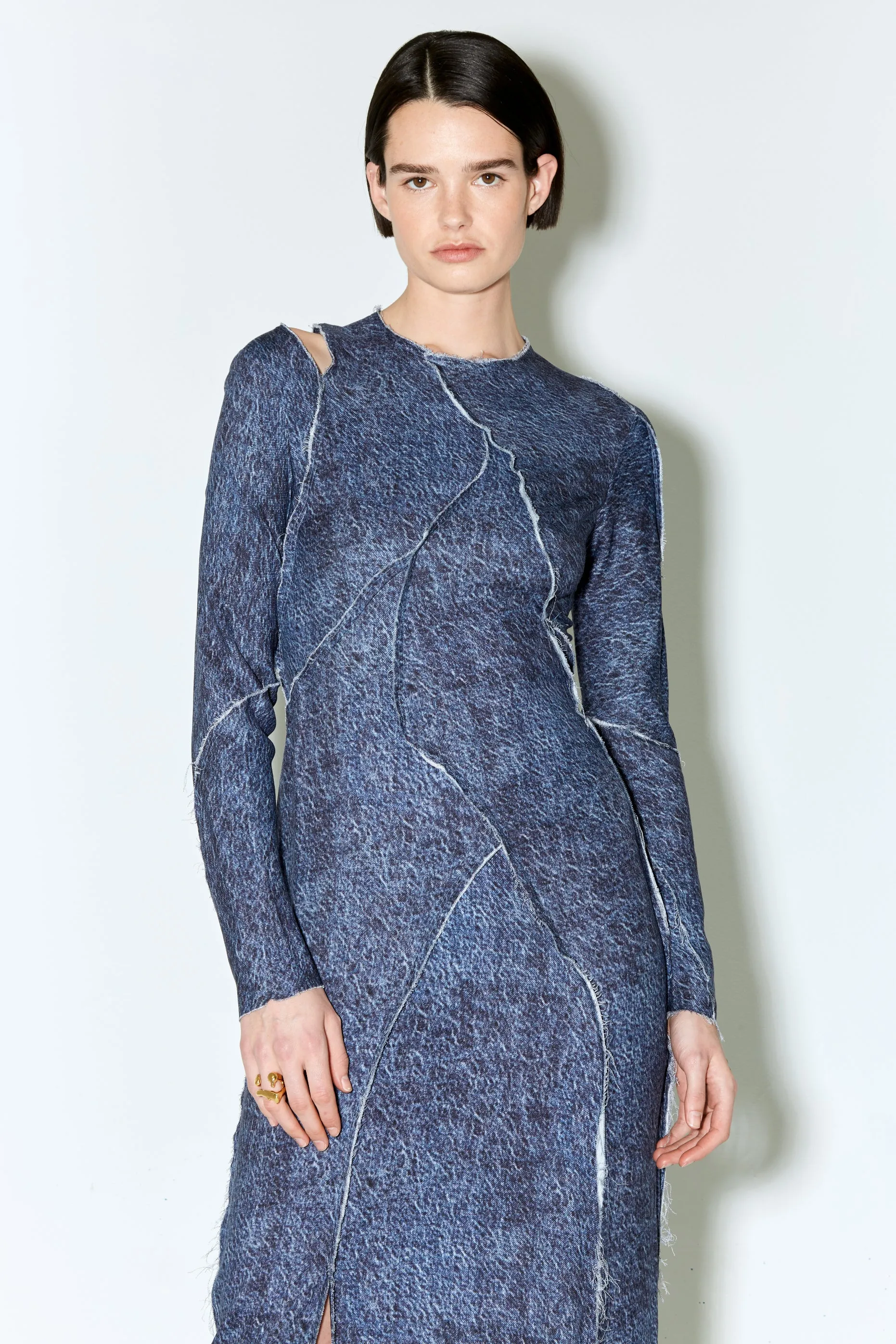 ROSALIA dress blue denim print