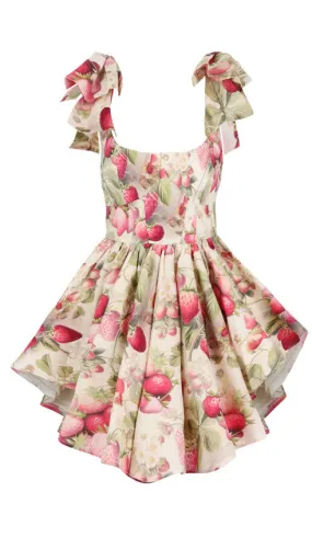 Selkie Strawberry Farmers Market Dress