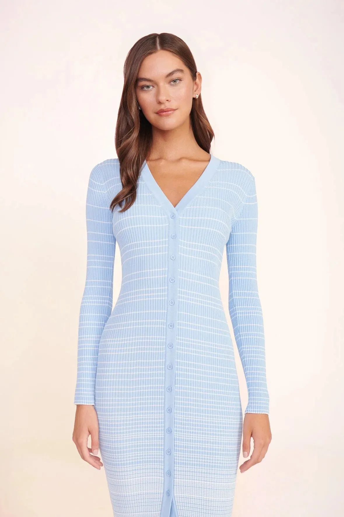Shoko Ombre Stripe Dress