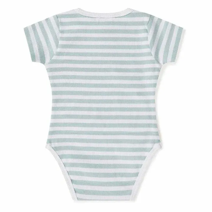 Snuggle Hunny SS Bodysuit - Sage Stripe